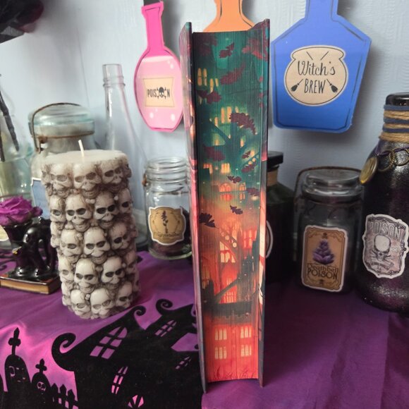 Immortal Consequences by I.V. Marie Fairyloot August 2025 Behind The Veil - Picture 2 of 10